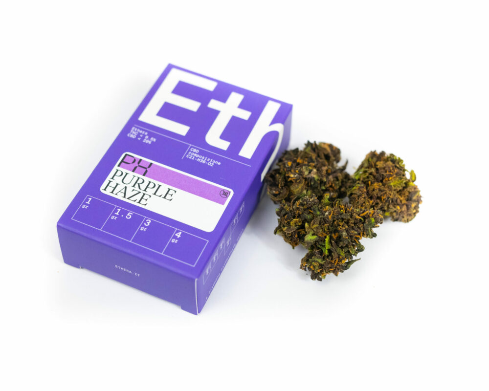Box con infiorescenza CBD Purple Haze by Ethera
