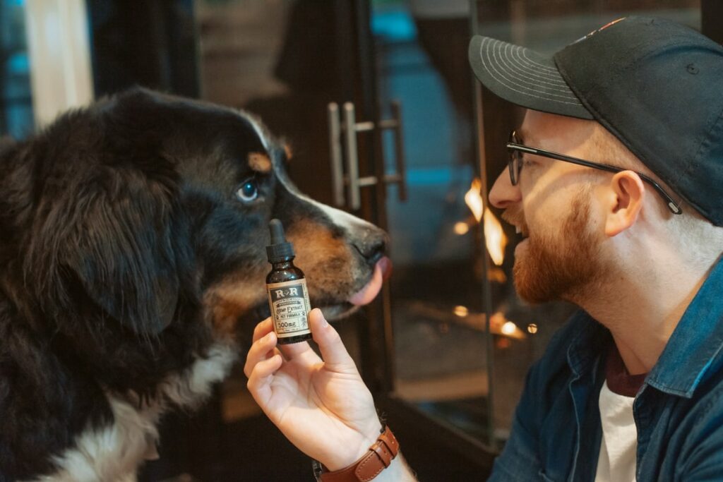 Italia Legalizzazione Cannabis Dog Cbd Animal Use