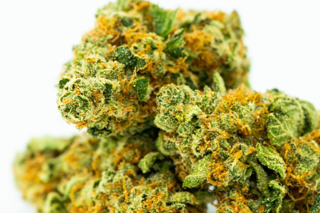 Infiorescenze Cbd Cannabis Light By Ethera Infiorescenze Cbd By Ethera