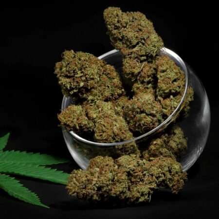 Ocean S Eleven Grape Infiorescenze Cbd 800x800 1