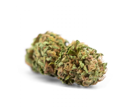 White Widow Ethera Infiorescenze Cbd