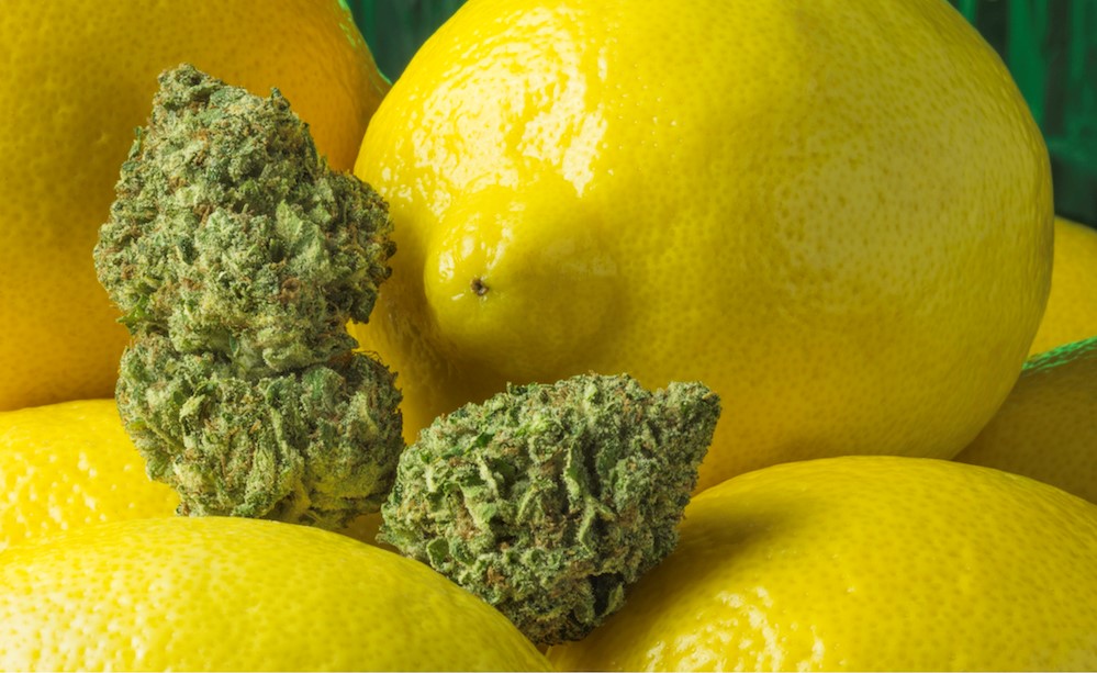 Lemon Cannabis Light Ethera