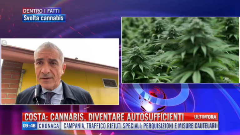 Andrea Costa Cannabis Salute Coltivazione 2021