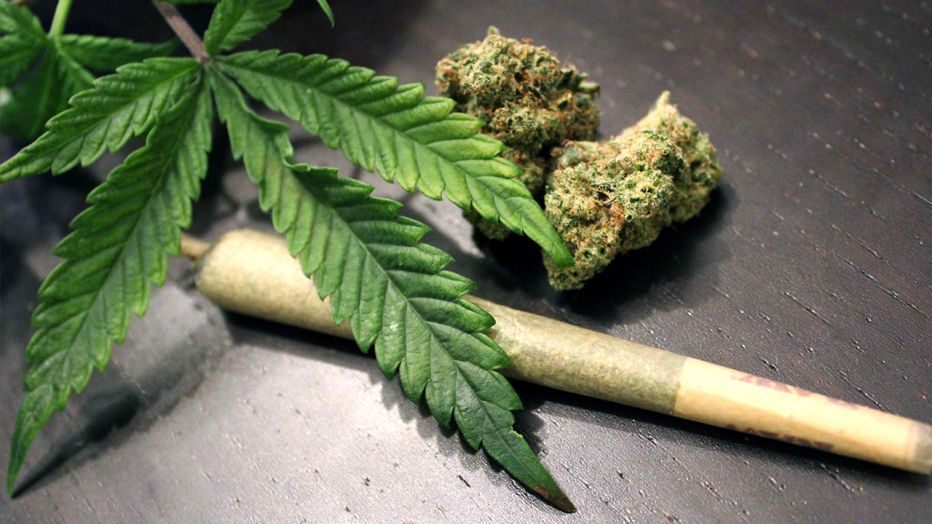 Cannabis Cbd Joint