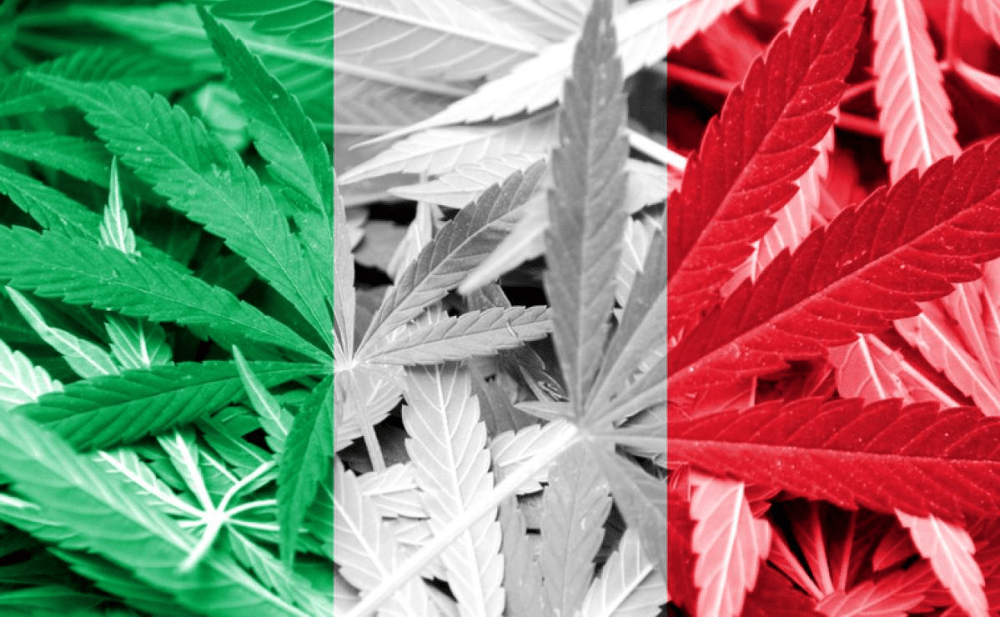 Italia Legalizzazione Cannabis