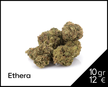 HARLEQUIN-CBD-ETHERA.