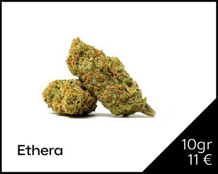 TANGIE-CBD-ETHERA
