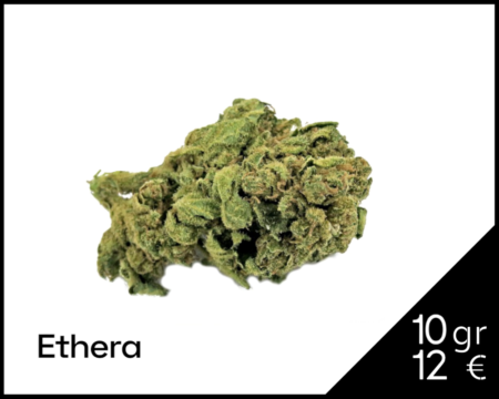 cannatonic-cbd-ethera