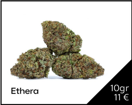 KIWI-CBD-ETHERA