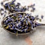 LAVANDA