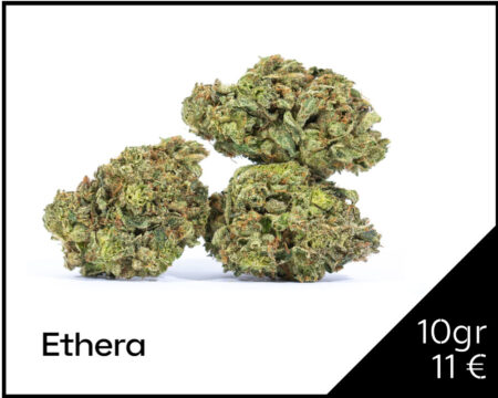 ALIEN-KUSH-CBD-ETHERA