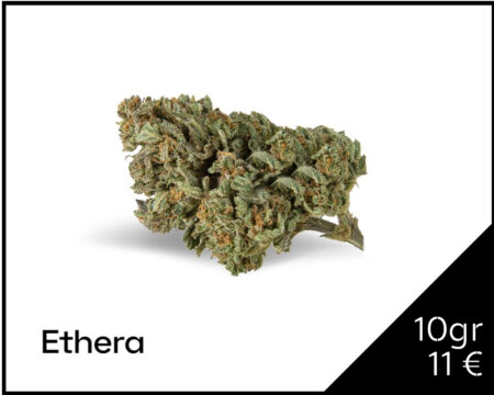 ACAPULCO-GOLD-CBD-ETHERA