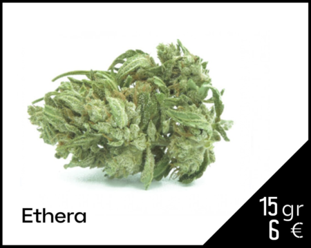 CBG-MOJITO-ETHERA