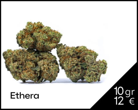 fruit-cake-cbd-ethera