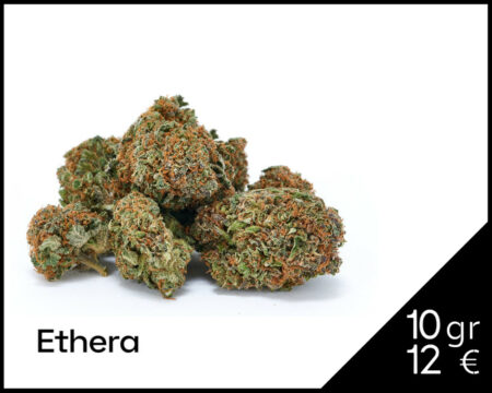 cheese-skunk-cbd-ethera