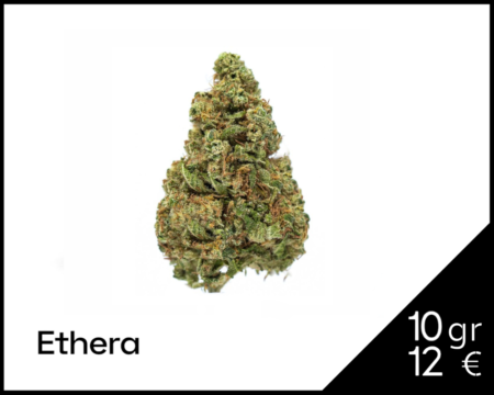 GORILLA-TONIC-CBD-ETHERA